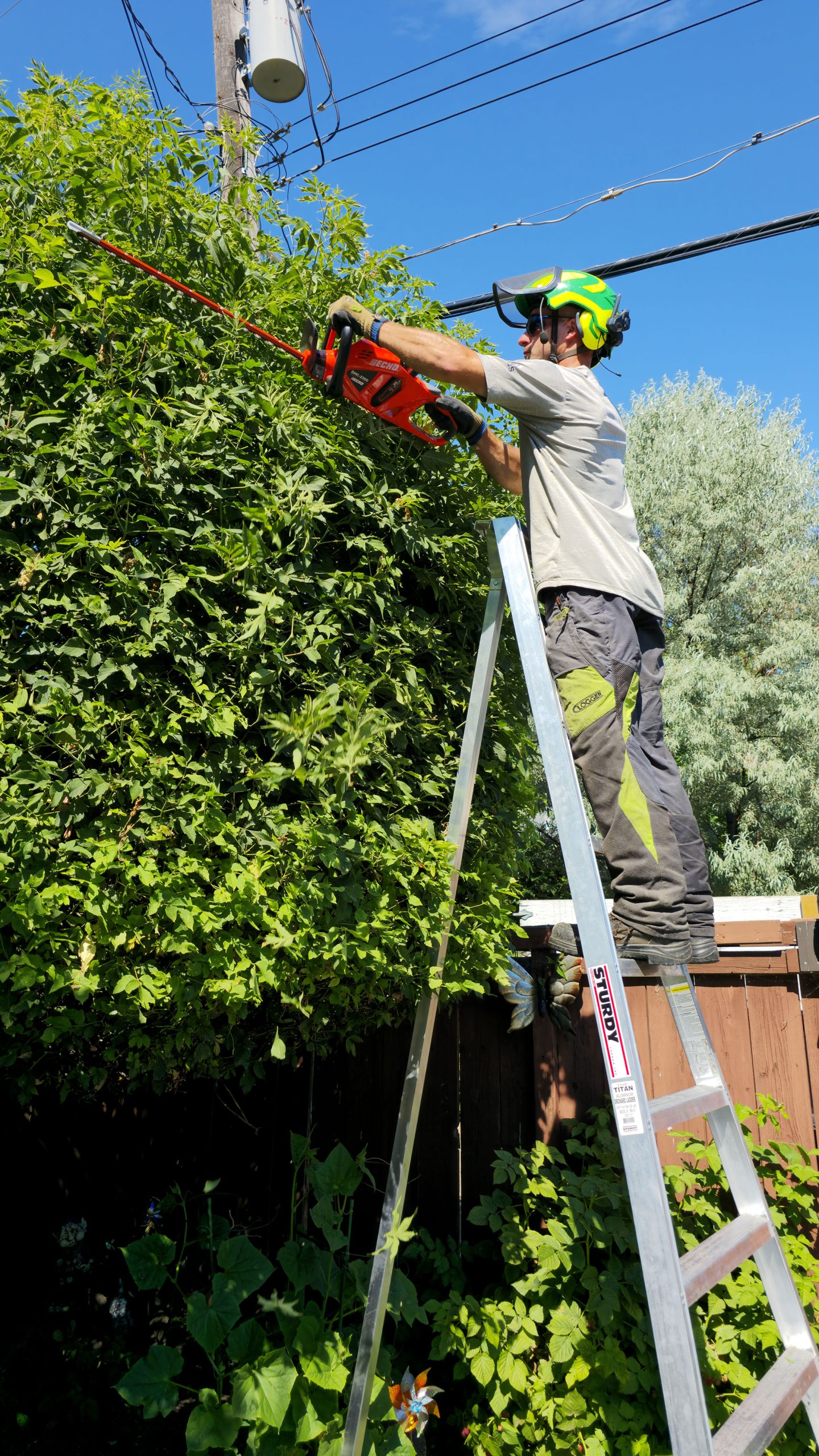 Edmonton tree pruning using heavy machinery