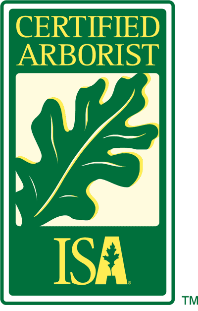 Foy Tree Care ISA certified arborist for tree service in Edmonton