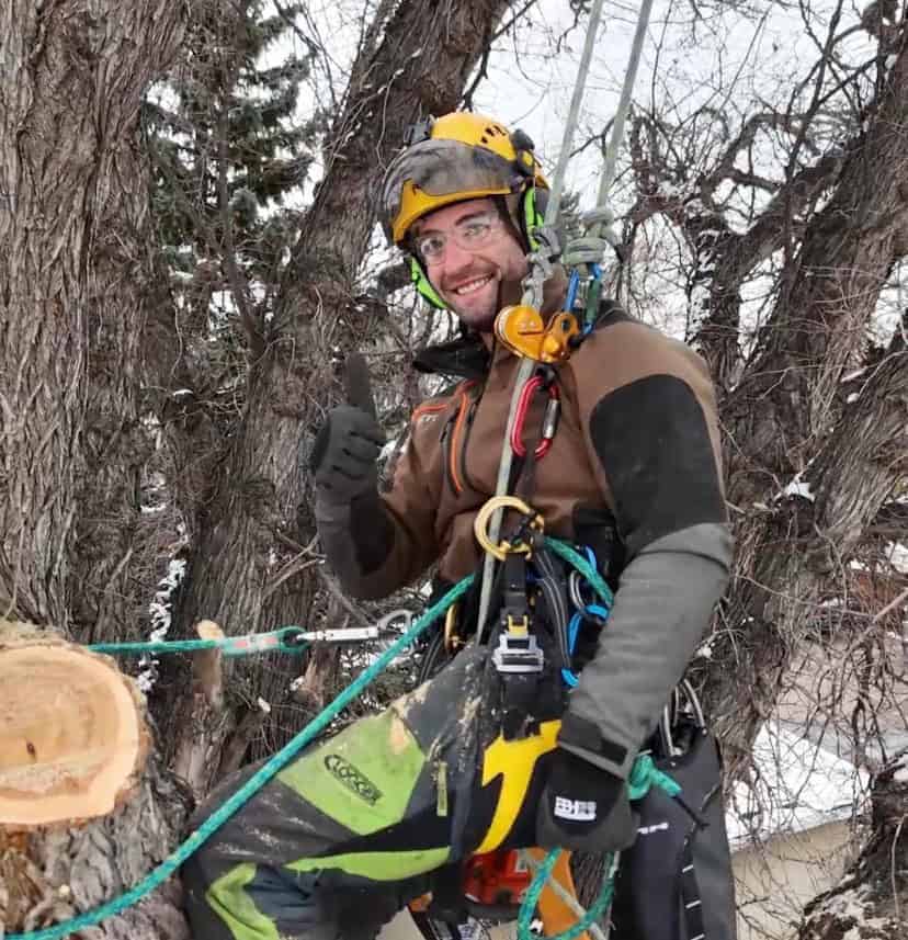 Smiling tree climber gives thumbs up mid-pruning, highlighting safe, skilled work ABOUT FOY TREE CARE is known for.