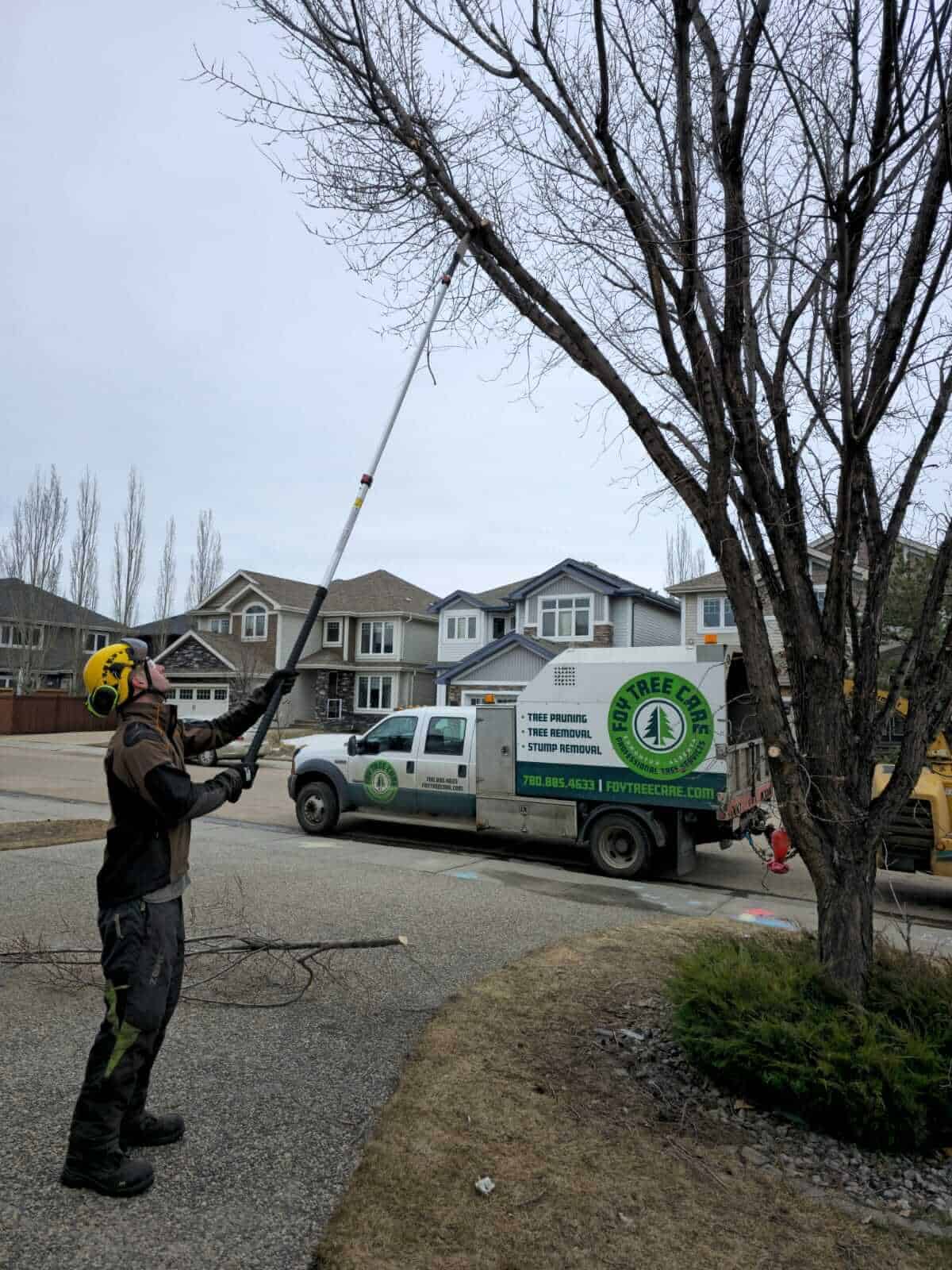 Tree care specialist using a pole saw to trim high branches in a residential area, demonstrating tree pruning costs in Edmonton
